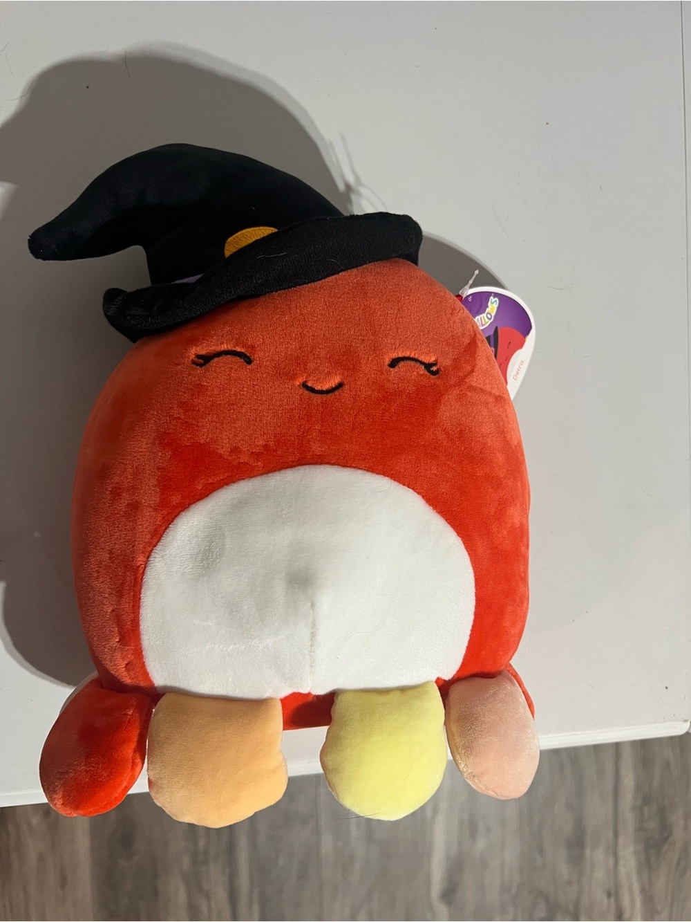Fall 2021 seasonal squishmallow